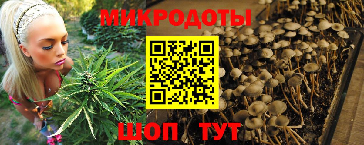 Галлюциногенные грибы Magic Shrooms Фурманов